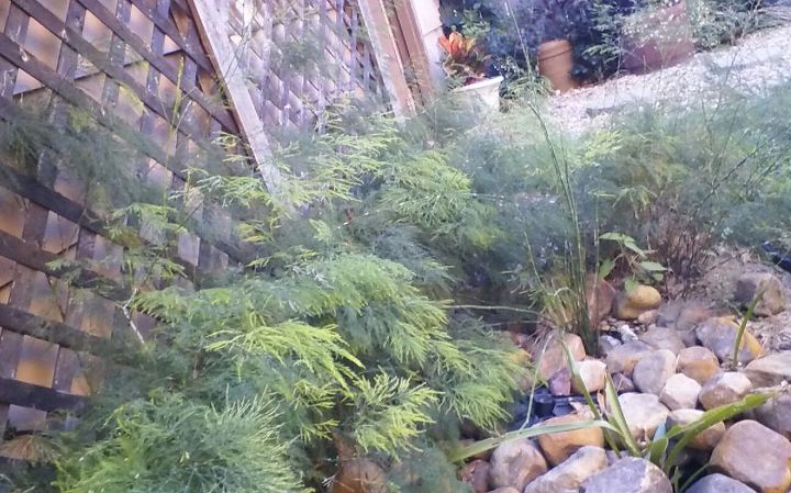 q identify please, around water feature