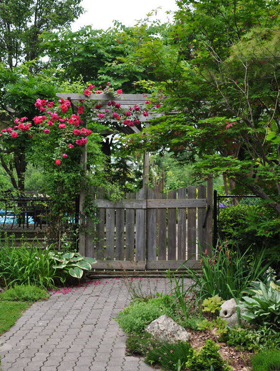 this is one garden you should see, flowers, gardening, Gate to the backyard garden