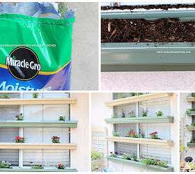 living window shade, container gardening, flowers, gardening, outdoor living, repurposing upcycling, window treatments, windows, I use Miracle Gro Moisture Control since this area gets a lot of sun and and it absorbs 33 percent more water Flowers and plants Used Verbena Angelonia Serena English Ivy Container Gardening Pick 2 kinds of flowers 1 flat of English ivy Add soil to each gutter Place the color pack of Verbena leaving enough room to add the tallest flowers in between Normally I would plant the tallest flower first but I wanted to alternate the colors of the verbena s since my tallest was one color Then to finish it off add Tailing plants English Ivy at the ends and in between the flowers