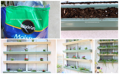 I use Miracle-Gro Moisture Control since this area gets a lot of sun and and it absorbs 33 percent more water.
Flowers and plants Used:
Verbena
Angelonia Serena
English Ivy
Container Gardening
Pick 2 kinds of flowers
1 flat of English ivy
Add soil to each gutter
Place the color pack of Verbena leaving enough room to add the tallest flowers in between.
(Normally I would plant the tallest flower first, but I wanted to alternate the colors of the verbena's since my tallest was one color).
Then to finish it off add Tailing plants (English Ivy) at the ends and in between the flowers