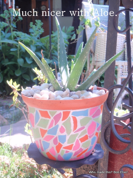 faux zaic flower pot, crafts, flowers, gardening, There s nothing like Aloe Vera to perk up a plastic pot