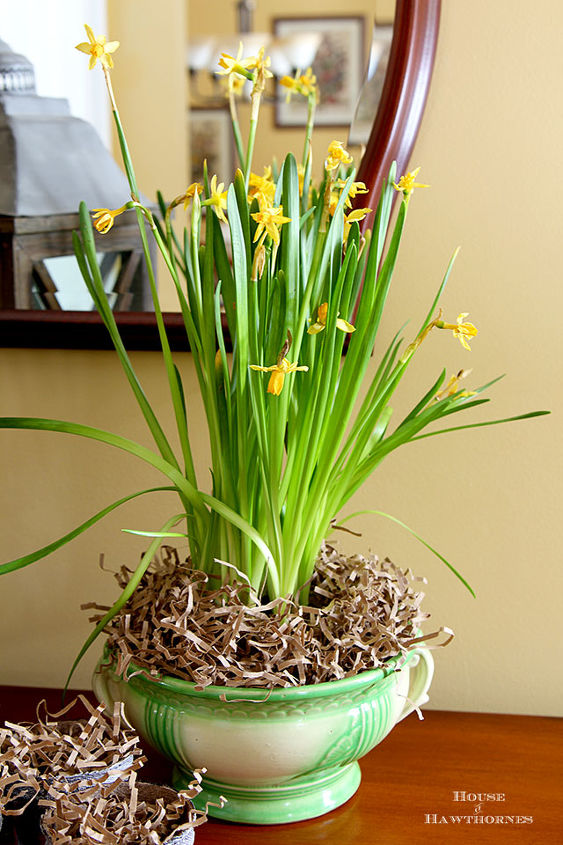 use potes de turfa em sua decorao de primavera