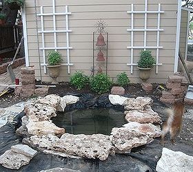 building a backyard pond, outdoor living, ponds water features, Added landscape rocks