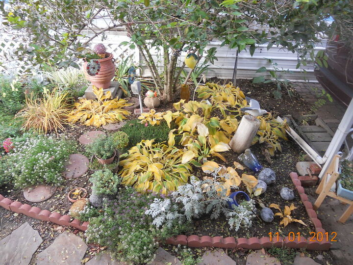 cleaning up garden for winter, flowers, gardening