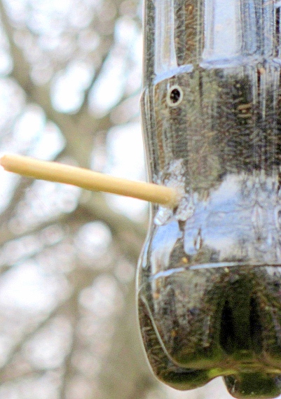 thistle bird feeder, gardening, See the dowel It goes straight through the bottle