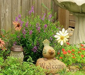 backyard garden, gardening, outdoor living