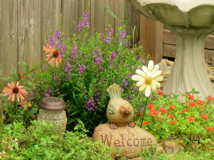 backyard garden, gardening, outdoor living