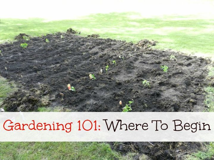 gardening 101 where to begin, gardening
