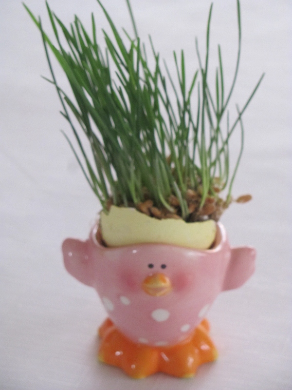 how to grow wheat grass for easter, crafts, easter decorations, seasonal holiday decor, I painted some egg shells willed them with potting soil and planted the wheat grass in them