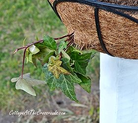 how to mount flower baskets onto wooden posts, curb appeal, diy, flowers, gardening, how to, repurposing upcycling, woodworking projects, Holes were cut in the sides of the basket liners so that some of the plants would drape out of the side