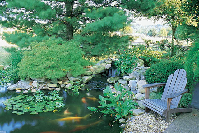create a backyard oasis with a pond, landscape, outdoor living, ponds water features, An Adirondack chair beckons you to sit a spell and forget about the worries of the day
