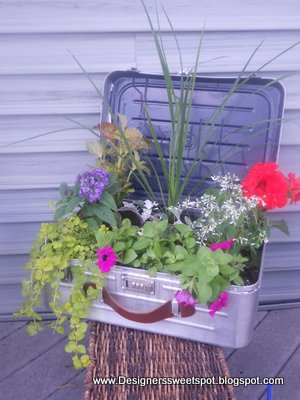 i planted an old metal suitcase then made a table out of it, flowers, gardening, repurposing upcycling, I planted this old metal suitcase with colorful annuals last summer