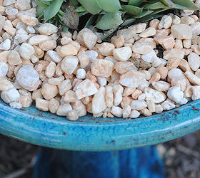 5 gorgeous ways to use succulents, flowers, gardening, succulents, terrarium, Get funky I planted this succulent in some gravel and soil in a birdbath Just be sure to avoid extreme temps and don t let it gather too much water if you do this outside