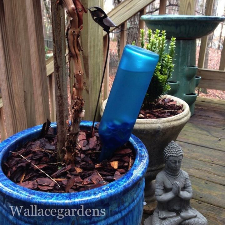 wine bottle watering device with copper tubing for container gardens