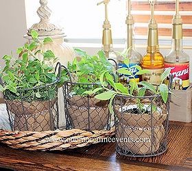 burlap rubber bands and herbs, container gardening, crafts, gardening, repurposing upcycling, Using Rubber bands as plant stakes using a rubber band and sharpie