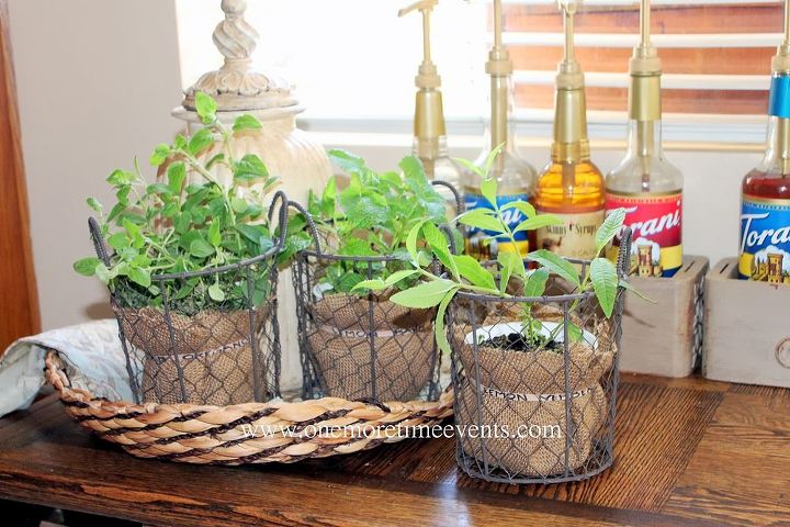 burlap rubber bands and herbs, container gardening, crafts, gardening, repurposing upcycling, Using Rubber bands as plant stakes using a rubber band and sharpie