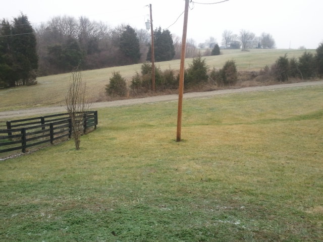 wet spots in the yard, landscape, outdoor living, South View from porch