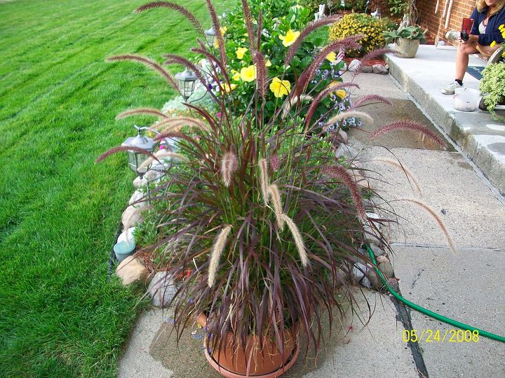 2012 yard pics, flowers, gardening