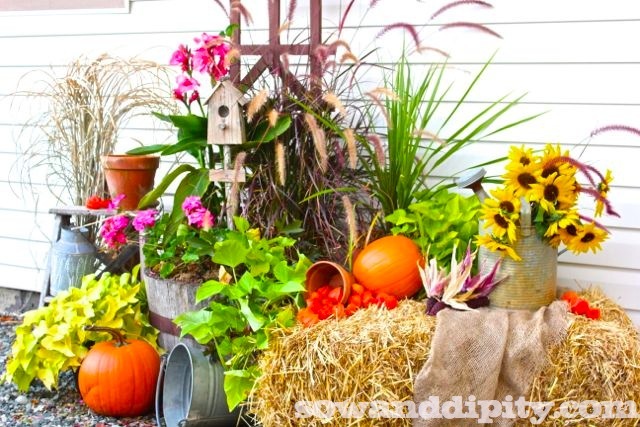 14 gorgeous fall planters, flowers, gardening, halloween decorations, perennials, seasonal holiday d cor, terrarium, Turn a summer planter into a fall vignette by sow and dipity