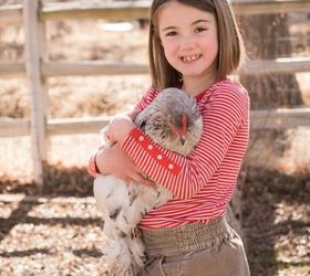 thinking about getting chickens, homesteading, pets animals