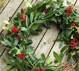 making a fresh evergreen wreath, crafts, doors, flowers, gardening, hydrangea, seasonal holiday decor, wreaths, Continue adding bunches of greens and reds until the wreath is all filled up Secure each bunch well with the twine