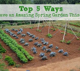 Top 5 Ways to Prepare Your Garden for Spring
