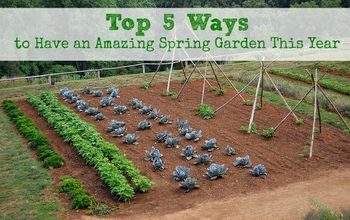 Las 5 mejores maneras de preparar el jardín para la primavera