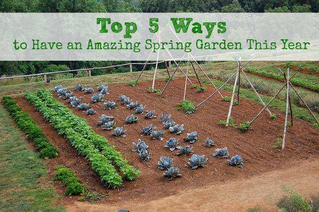 as 5 principais maneiras de preparar seu jardim para a primavera