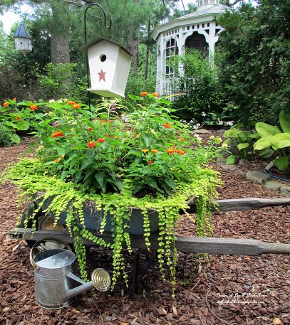 our fairfield home amp garden s most popular posts of 2012 bestof2012, container gardening, flowers, gardening, succulents, Wheelbarrow Planter see more at