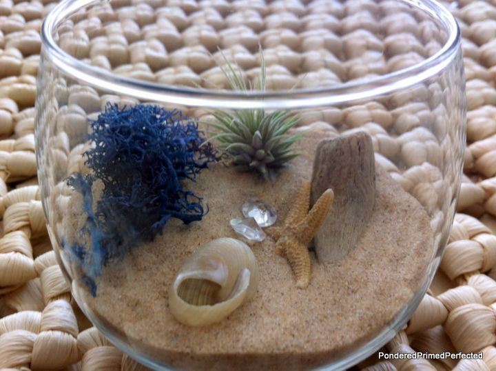 mini beach terrarium in stemless wine glass, gardening, repurposing upcycling, seasonal holiday d cor, terrarium