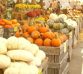 The Best Place to Buy Pumpkins & Other Fall Decor