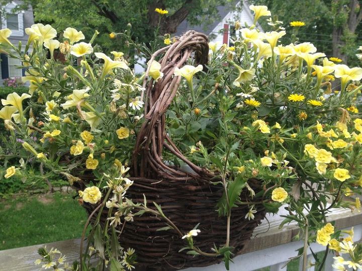 basket found in someone s trash, flowers, gardening, repurposing upcycling, My husband found this basket on someone curb side trash I had to dress it up with some flowers What do you think