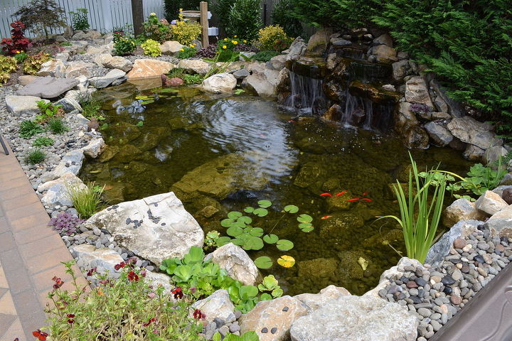 project spotlight love water features love to relax this is the best of both enjoy, outdoor living, patio, ponds water features, pool designs, spas, View of the pond and waterfall from the patio