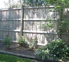 outdoor landscape, fences, gardening, landscape, outdoor living, Before Backyard Fence