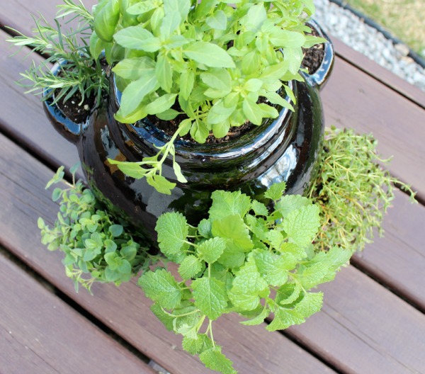 strawberry pot herb garden, gardening, Herbs are the perfect way to make summer meals tasty and fresh all season long