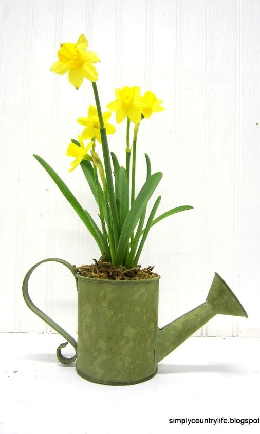 daffodils in watering cans centerpiece, crafts, gardening, seasonal holiday decor