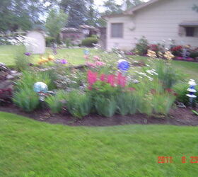 flower beds, flowers, gardening, This is same bed as the 1st one shown but after it took hold
