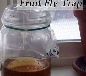 making a fruit fly trap from cider vinegar, pest control