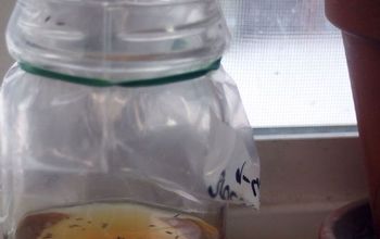 Making a Fruit Fly Trap From Cider Vinegar