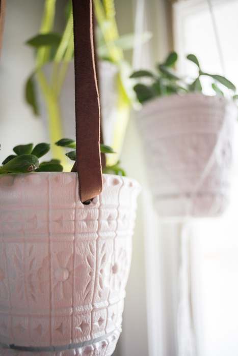 diy leather plant hanger, crafts, gardening, home decor, repurposing upcycling, Make a knot at the top and hang it on a cup hook Enjoy