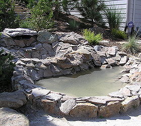 water gardening ponds water features waterfalls koi ponds outdoor lifestyles, outdoor living, ponds water features, Before a pond in need of updating