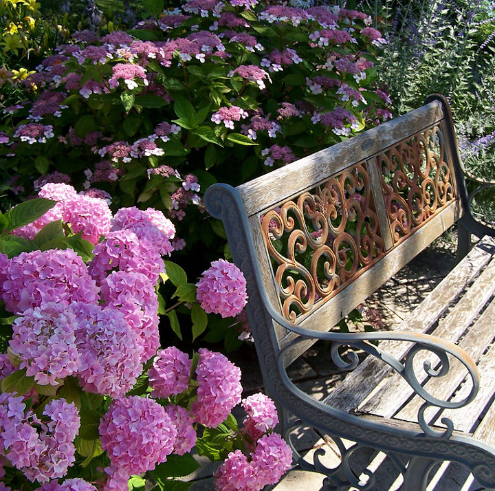 take a seat 10 great garden benches, gardening