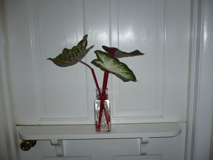 repurpose drinking straws, flowers, gardening, repurposing upcycling, Straws hold up flowers in a vase