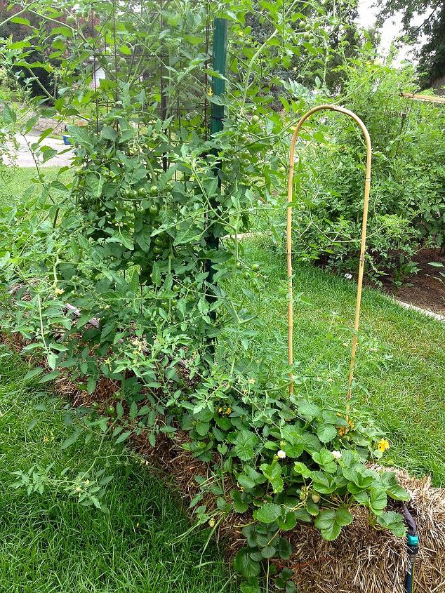 does straw bale gardening