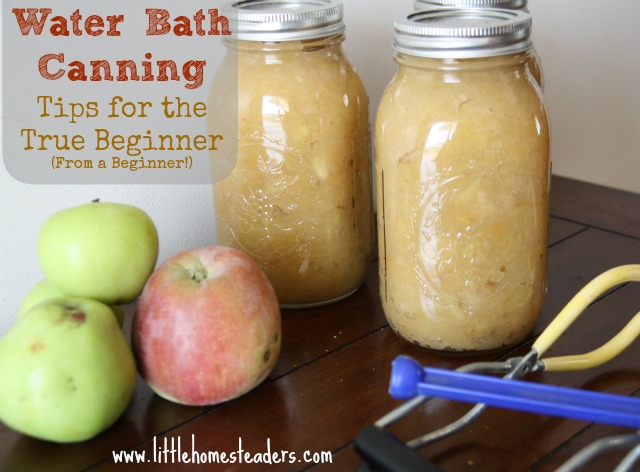 water bath canning for beginners, go green, homesteading