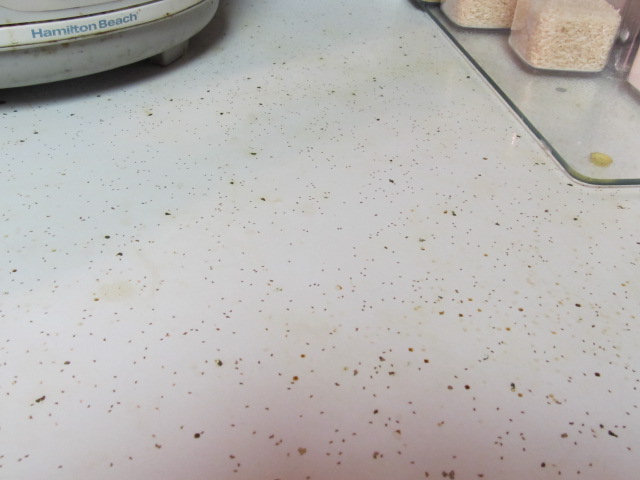 q pintar viejas encimeras de formica, Primer plano de la formica Necesita un lavado de cara