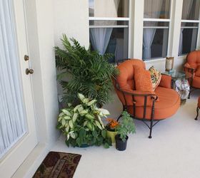 new pictures, landscape, outdoor living, The bamboo palm in corner softens and tones down all of the white Sims Landscaping does pool and patio foliage plants as well as landscape plants