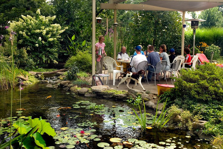 create a tropical dining spot in your backyard, decks, gardening, outdoor living, patio, ponds water features, Family gatherings by the pond create memorable events for everyone