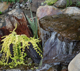 waterscapes create beautiful backyards, TRD Designs created this waterfall and pond closeup