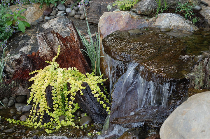 waterscapes create beautiful backyards, TRD Designs created this waterfall and pond closeup